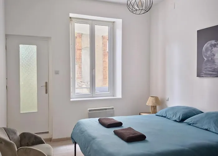 Tour Ouest - T2 Entre Cite Medievale Et Bastide *