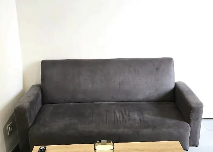 Tour Ouest - T2 Entre Cite Medievale Et Bastide