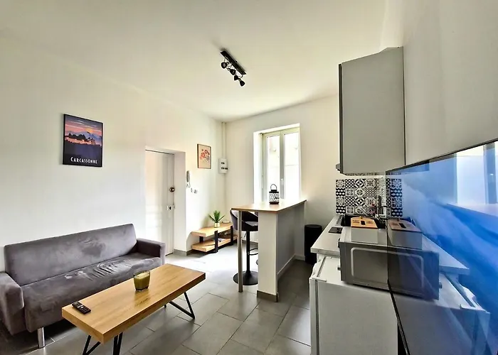 Tour Ouest - T2 Entre Cite Medievale Et Bastide * Carcassonne